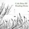 Heading Home - Single album lyrics, reviews, download