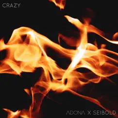 Crazy - Single by ADONA & Seibold album reviews, ratings, credits