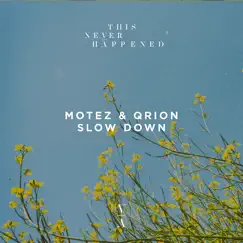 Slow Down - Single by Motez & Qrion album reviews, ratings, credits