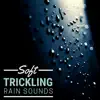 Soft Trickling Rain Sounds - Nature Sound with New Age Ambience album lyrics, reviews, download