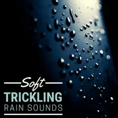 Soft Trickling Rain Sounds - Nature Sound with New Age Ambience by Moana Kea album reviews, ratings, credits