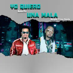 Yo Quiero Una Mala (feat. Amarfis) Song Lyrics