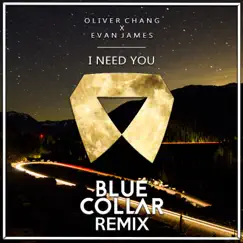 I Need You (BlueCollar Remix) Song Lyrics