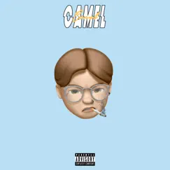 Camel - Single by Naz album reviews, ratings, credits