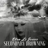 Secondary Drowning (Remix Radio) [Remix] - Single album lyrics, reviews, download