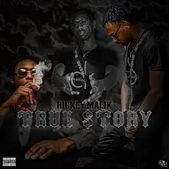 True Story - Single by Rickey Malik album reviews, ratings, credits