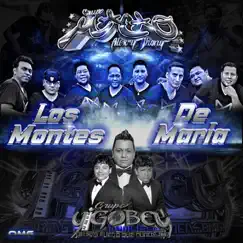 Los Montes De María (feat. Grupo Macao de Alex y Jhony) - Single by Grupo Yigobey album reviews, ratings, credits