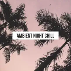 Ambient Night Chill: Deep Electronic Lounge Session, Relaxing Obsession by Chillout Sound Festival album reviews, ratings, credits