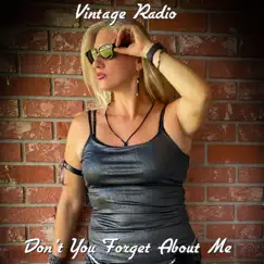 Don't You Forget About Me - Single by Vintage Radio album reviews, ratings, credits