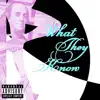 What They Know - Single album lyrics, reviews, download
