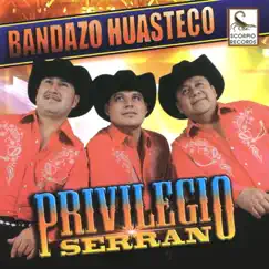 Bandazo Huasteco by Privilegio Serrano album reviews, ratings, credits