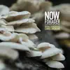 Now, Forager (Original Motion Picture Soundtrack) album lyrics, reviews, download