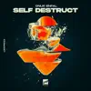 Self Destruct - Single album lyrics, reviews, download