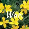 war. (feat. Brady Aye) - Single album lyrics, reviews, download