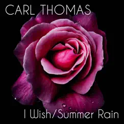 Summer Rain (Re-Recorded) Song Lyrics