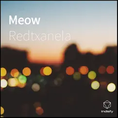 Meow Song Lyrics