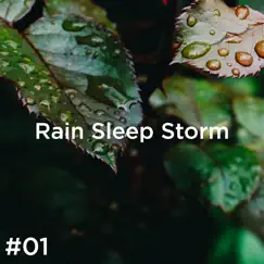 #01 Rain Sleep Storm by Thunderstorm Sound Bank & Thunderstorm Sleep album reviews, ratings, credits