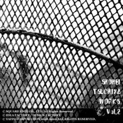Shohei Tsuchiya Works Vol.2 by Shohei Tsuchiya (ZUNTATA) album reviews, ratings, credits