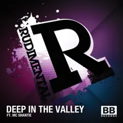 Deep in the Valley - EP by Rudimental album reviews, ratings, credits