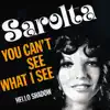 You Can't See What I See - Single album lyrics, reviews, download