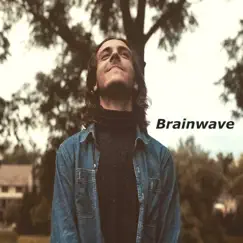 Brainwave by Bag of Brains album reviews, ratings, credits
