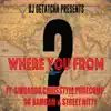 Where You From (feat. Ogbambam, Sin Da God, ChrisStyle, PureComp & Street Nitty) - Single album lyrics, reviews, download