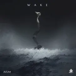Wake by Avum album reviews, ratings, credits