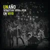 Un Año (En Vivo) - Single album lyrics, reviews, download