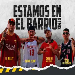 Estamos en el Barrio (feat. El Melly, Javi la Vagancia & Chechi kalletano) [Remix] Song Lyrics