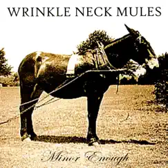 Minor Enough by Wrinkle Neck Mules album reviews, ratings, credits