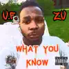 What You Know - Single album lyrics, reviews, download