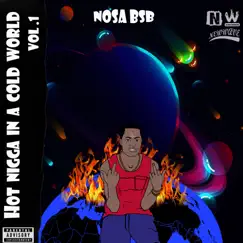 Hot N***a in a Cold World (Vol.1) by Nosa BsB album reviews, ratings, credits