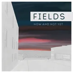Fields - Single by Now and Not Yet album reviews, ratings, credits