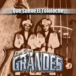 Que Suene el Tololoche by Los Dos Grandes De La Sierra album reviews, ratings, credits