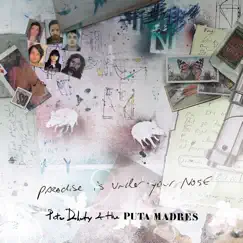 Paradise Is Under Your Nose (feat. The Puta Madres) [Radio Edit] - Single by Peter Doherty album reviews, ratings, credits