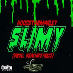 Slimey - Single by HoodStarMarley album reviews, ratings, credits