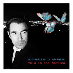 Butterflies in December Song Lyrics