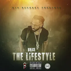 The Lifestyle by B-Nice album reviews, ratings, credits
