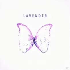 Lavender Song Lyrics