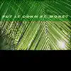 Put It Down (feat. Monet) - Single album lyrics, reviews, download