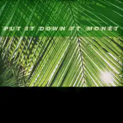 Put It Down (feat. Monet) - Single by Jeff Lyno album reviews, ratings, credits