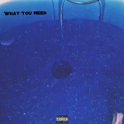 What You Need - Single by Sriv album reviews, ratings, credits