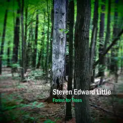 Forest for Trees by Steven Edward Little album reviews, ratings, credits