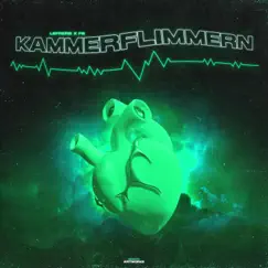 Kammerflimmern (feat. FS) - Single by LeFrers album reviews, ratings, credits