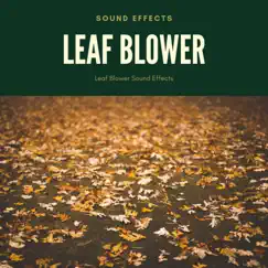 Leaf Blower Sound Effects Song Lyrics