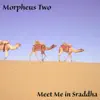 Meet Me In Sraddha - Single album lyrics, reviews, download