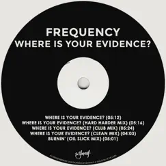 Where Is Your Evidence? - EP by Frequency & Orlando Voorn album reviews, ratings, credits