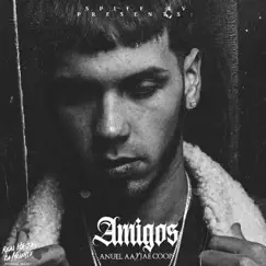 Amigos - Single by Anuel AA album reviews, ratings, credits
