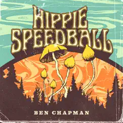 Hippie Speedball Song Lyrics