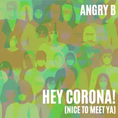 Hey Corona! (Nice to Meet Ya) - Single by Angry B album reviews, ratings, credits